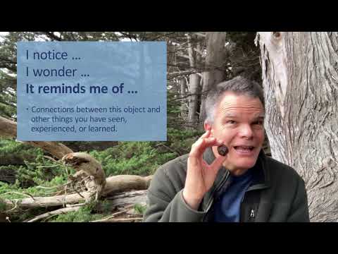 The Nature Journal Connection, Episode 2:   I notice, I wonder, It reminds me of
