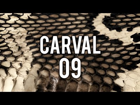 CARVAL - MIX 09 | QUEENS #electro #house #tech #techno #electronic #music #dj #mix #set #session