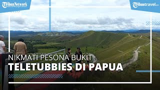 Menikmati Pesona Bukit Teletubbies di Papua, Jadi Spot Wisata Menarik Peserta PON XX