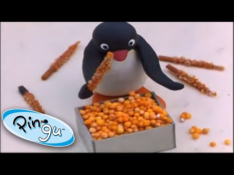 Pingu As A Chef   Pingu Official Channel