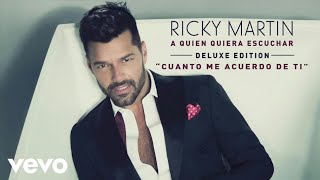 Ricky Martin - Cuanto Me Acuerdo de Tí (Cover Audio)
