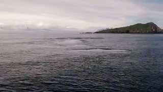 preview picture of video 'Alaska Life! Exploring the Mysterious Islands North of Kodiak!'