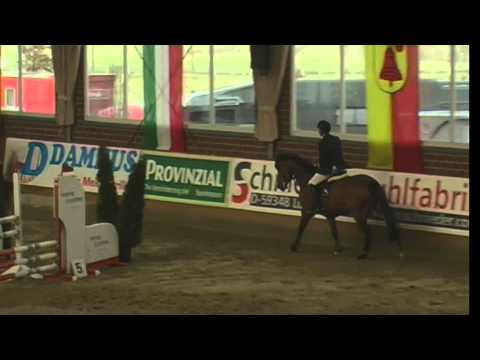 Comtess 175 - Hubertus Dieckmann