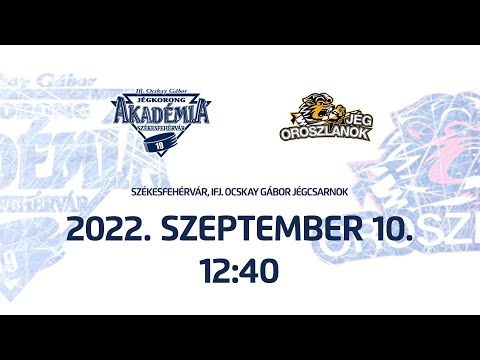 U14 | Ifj. Ocskay Gábor JA B - Jégoroszlánok