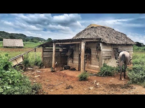La vida en los Campos Cubanos no es tan Fácil | Vida en Cuba