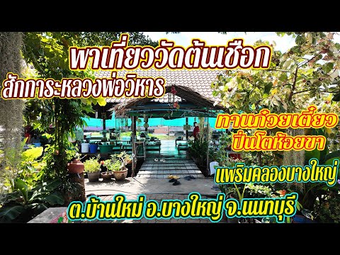 วัดต้นเชือก