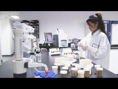 Virtual Tour of a Diamond Pet Foods Facility