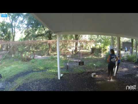 Nikita breakfast 2016 08 19