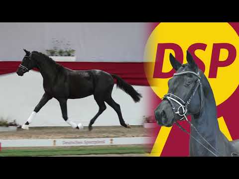 Lot 39 v. De Chirico / Millennium/T.