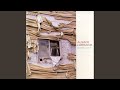 Call for Papers (Ian Catt Mix)