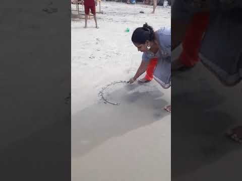 Sai Vignesh celebrations