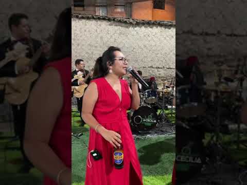 Toril 2 -   la Cecilia