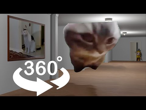 CHIPI CHIPI CHAPA CHAPA cat in the gallery of CAT MEMES 360 VR