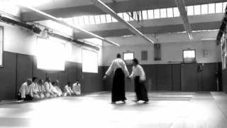 preview picture of video 'Aïkido teaser soirée des arts martiaux 2010'