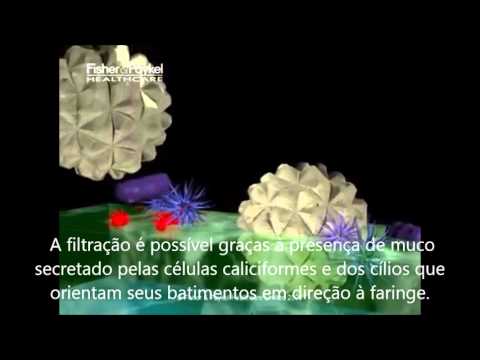 Movimento ciliar e flagelar