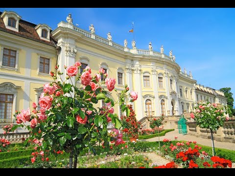 Ausflug nach Ludwigsburg endet im Chaos