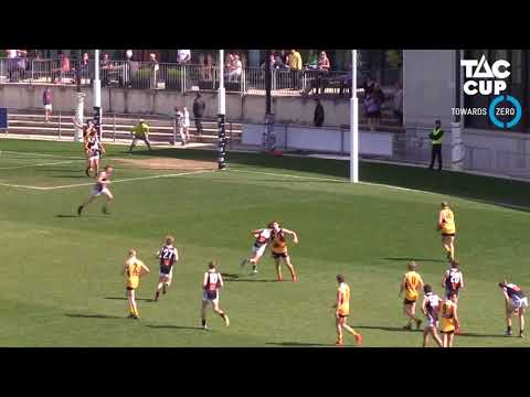 Elimination final Dandenong Stingrays vs GWV Rebels TAC Cup highlights 2018