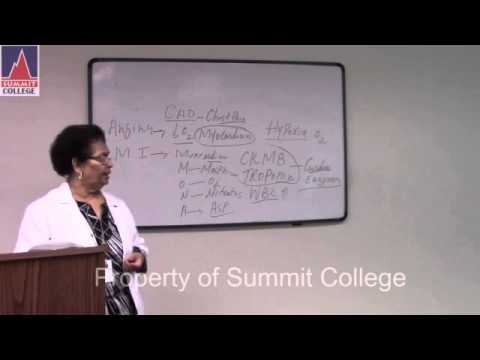 Comprehensive Review - PART 4