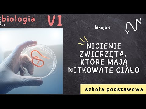 Biologia klasa 6 [Lekcja 6 - Nicienie - zwierzęta, które mają nitkowate ciało]