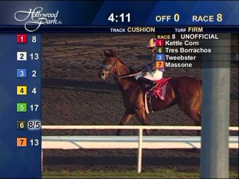 The 33rd Running of the Native Diver Handicap (GIII) - $100,000 Guaranteed