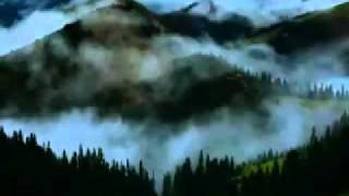 Tibet - Forest on the Roof of the World 1 2.flv