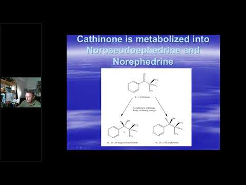 New Psychoactive Substances (NPS): Synthetic Stimulants/Synthetic Cannabinoids