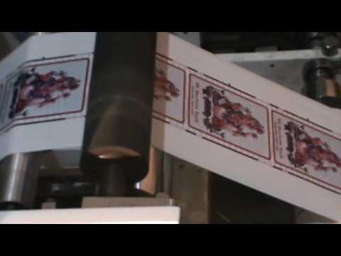 Paper Bag Printing Machine