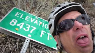 A video love letter to Steve Fox