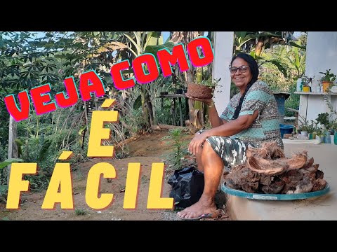 Aprenda a fazer seu xaxim com casca de coco seco.