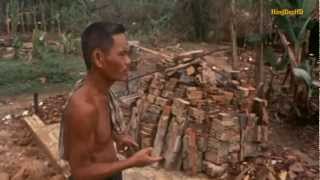 Tâm Hồn Và Lý Trí - 1974 - Hearts and Minds - Phim Tài Liệu Hay Nhất - IMDB: 8.4/10