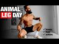Strength Mobility Legs Routine Animal Follow Along