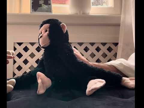 Apis sjunger - Mitt i djungeln