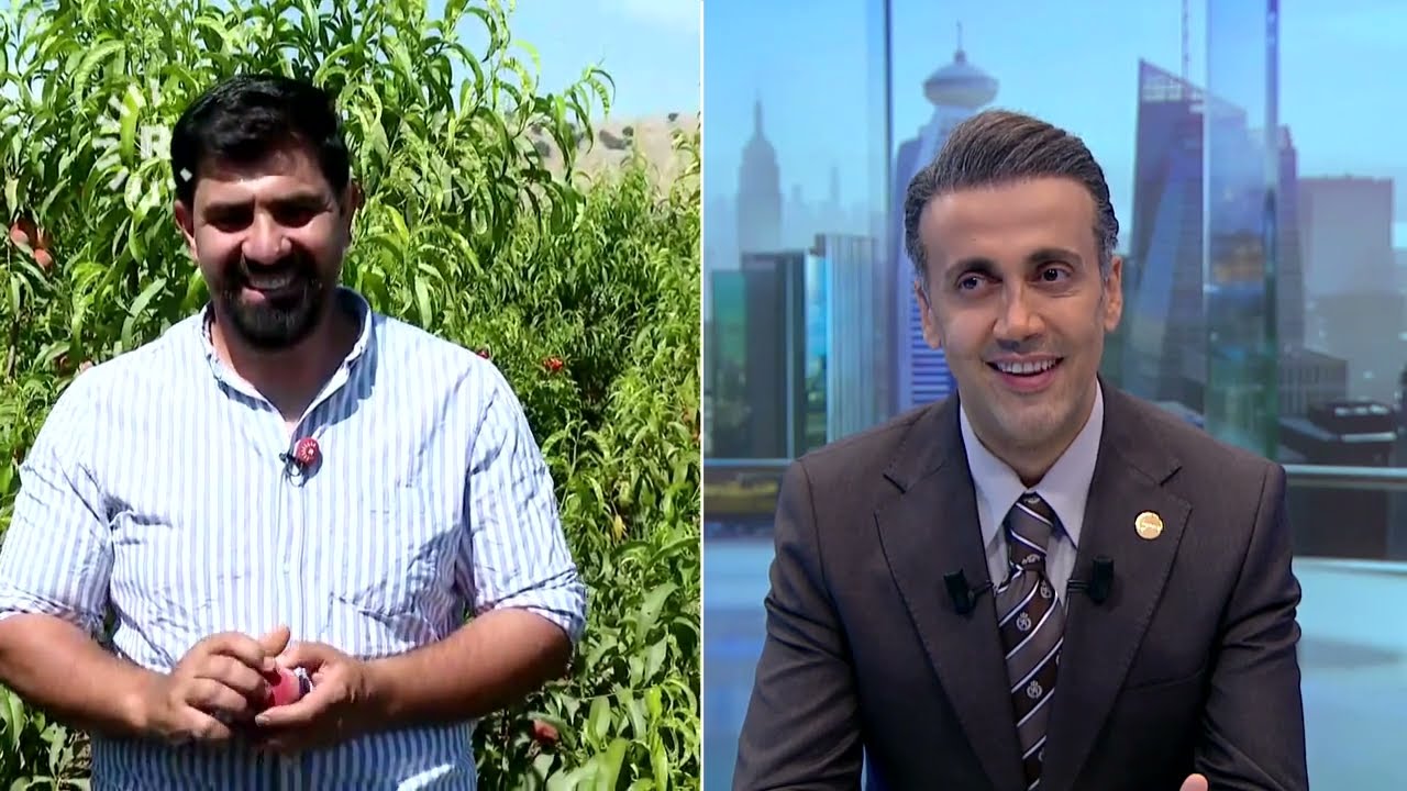 ڤیدیۆ | وەرزی رنینی قۆخە و جووتیارێکی نموونەیی باسی جۆرەکانی دەکات