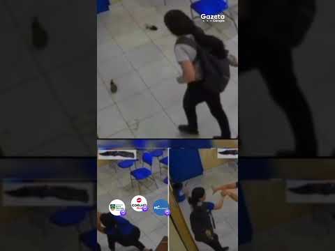 Professora é esfaqueada por aluna dentro de escola em Cametá