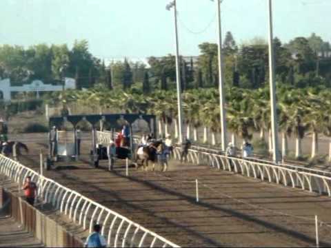 maturity 2011 la paloma