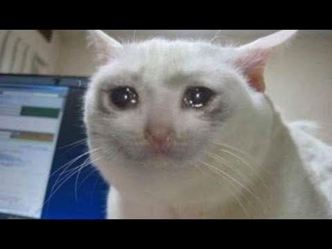 Self curse temporal chains builds be like:Harvest Poe 3.11