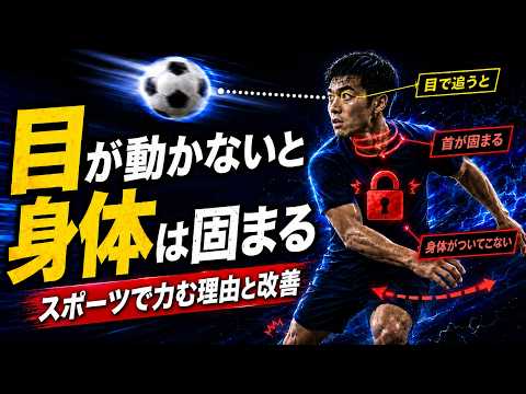 目と首のストレッチ、柔軟性を扱うO.C.Laboの動画