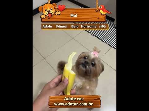 Vídeo de Mel 