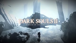 Dark Souls II Scholar of the First Sin 14
