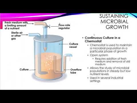 2117 Ch 09 Microbial Growth