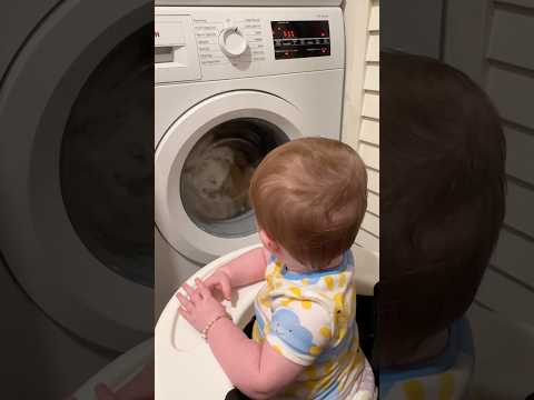 Maize loves watching the laundry 🧺 #111 #subscribe #dad #mom #parenting
