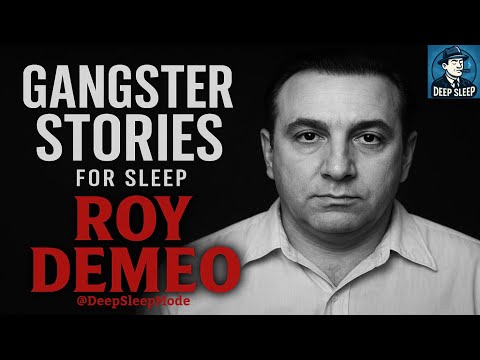 Roy Demeo: The Butcher of the Mob and His Gemini Crew | American Mafia Stories