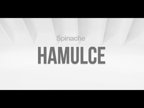 Video thumbnail for Hamulce
