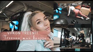 TREENAA VIIKKO KANSSANI