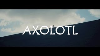 The Veils - "Axolotl" (ft. El-P) (Official Music Video) | Pitchfork