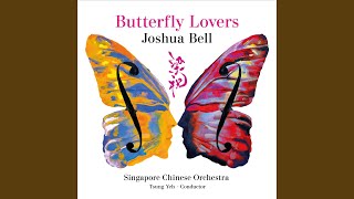 Cover art for Butterfly Lovers Violin Concerto: II. Allegro