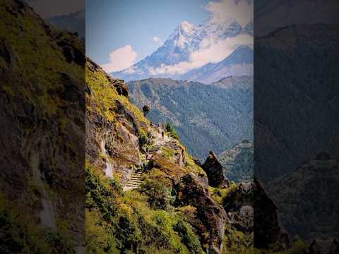 Keeping it natural.!❤️🖤🇳🇵 #nepal 🇳🇵 #nature #idyllic #perfect #birajsubedi