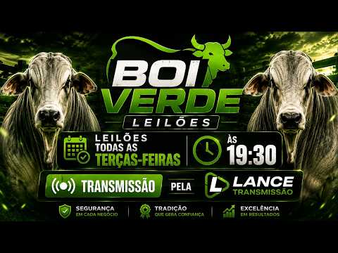 LEILÃO  GADO DE CORTE-  BOI VERDE - SANTA TEREZINHA DE GOIÁS