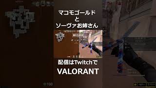 - マコモゴールドとソーヴァお姉さん#shorts