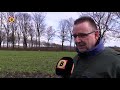 Schapenhouder Wout kapot van doodgebeten schaap: 'De wolf is een kille moordenaar'